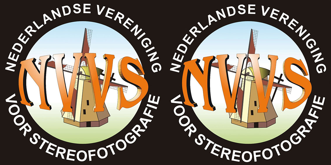 NVvS Logo